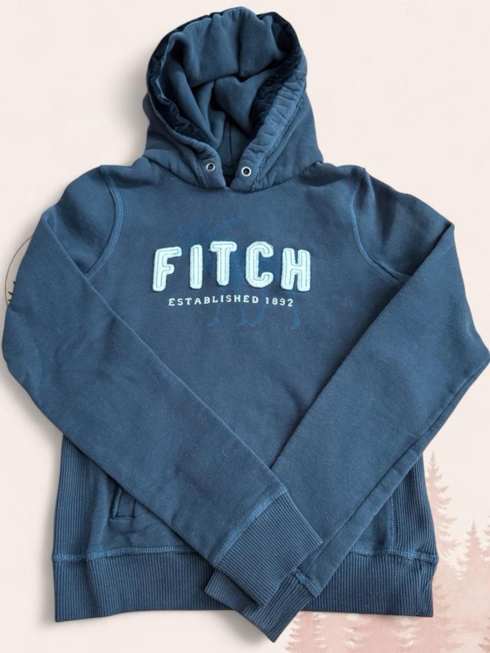 Y2K Abercrombie & Fitch Fitch Logo Hoodie – Size Large